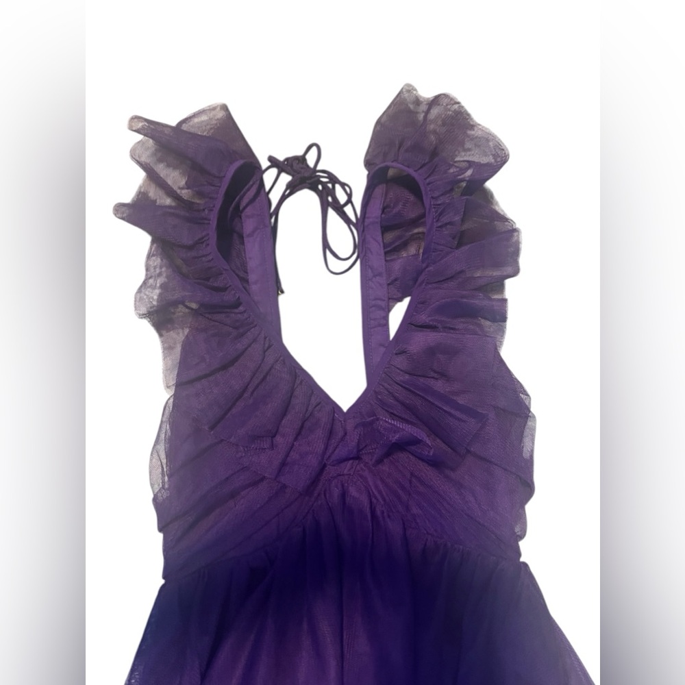 Anthropologie Ruffled Tulle‎ Mini Dress - Picture 5 of 16